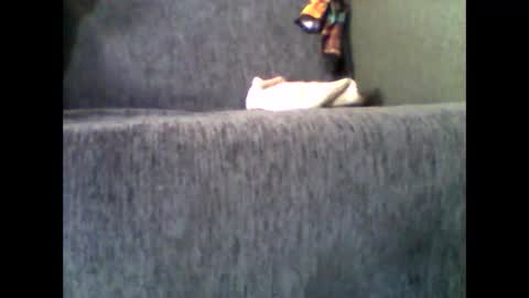 Snapshot of donizetti2017 chatting on November 2025 07:51:01 AM Alfredo online show from November 2025 07:51:01 AM