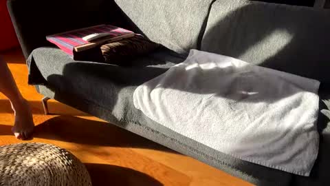 Snapshot of donizetti2017 chatting on December 2025 11:59:01 AM Alfredo online show from December 2025 11:59:01 AM