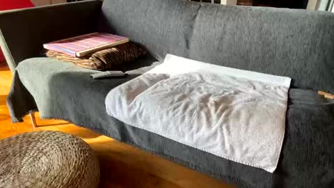 Snapshot of donizetti2017 chatting on December 2025 11:19:01 AM Alfredo online show from December 2025 11:19:01 AM