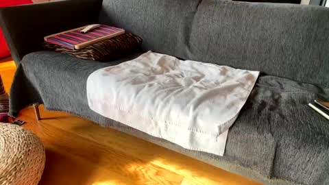 Snapshot of donizetti2017 chatting on December 2025 10:13:01 AM Alfredo online show from December 2025 10:13:01 AM