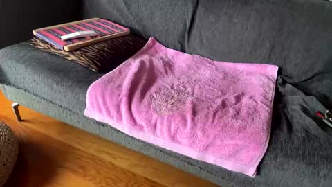 Snapshot of donizetti2017 chatting on February 2026 10:55:02 AM Alfredo online show from February 2026 10:55:02 AM