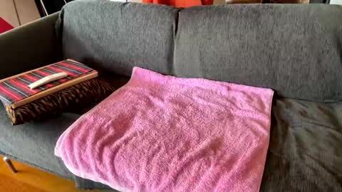 Snapshot of donizetti2017 chatting on April 2026 09:21:01 AM Alfredo online show from April 2026 09:21:01 AM