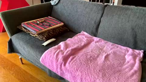 Snapshot of donizetti2017 chatting on April 2026 10:37:02 AM Alfredo online show from April 2026 10:37:02 AM