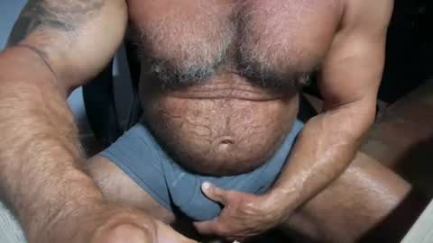 donk566 online show from July 2026 11:41:02 AM