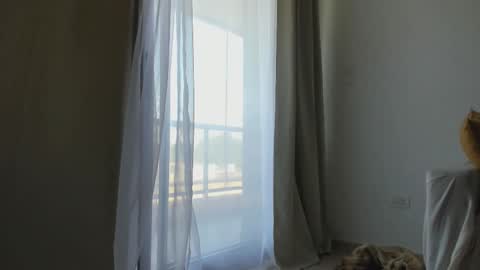 Donatella online show from February 2025 12:08:01 PM