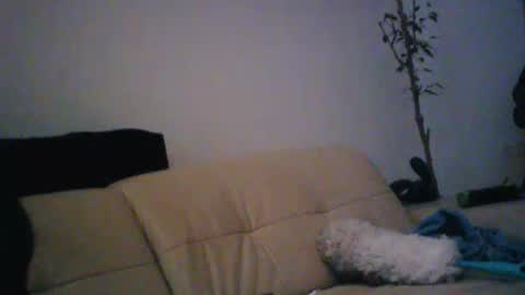 Snapshot of donosus chatting on January 2026 01:31:01 AM donosus online show from January 2026 01:31:01 AM