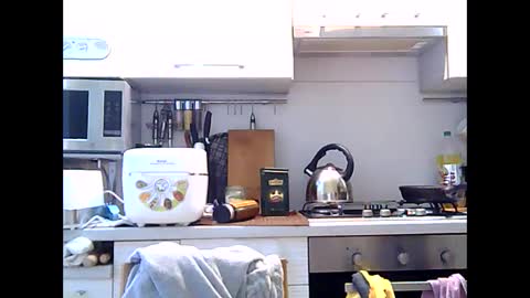 Snapshot of dorrie_ann chatting on December 2024 07:14:01 AM Dorrie Ann online show from December 2024 07:14:01 AM