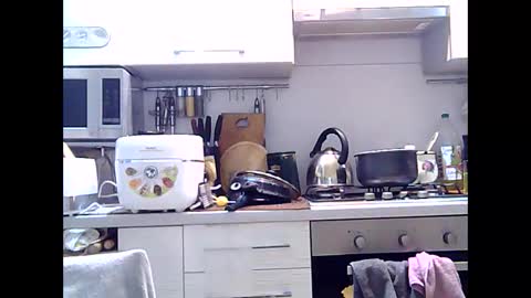 Snapshot of dorrie_ann chatting on December 2024 05:31:02 AM Dorrie Ann online show from December 2024 05:31:02 AM