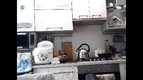 Snapshot of dorrie_ann chatting on March 2025 08:13:01 AM Dorrie Ann online show from March 2025 08:13:01 AM