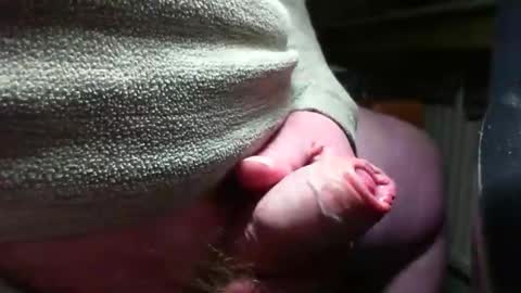 doscard online show from December 2024 11:34:02 PM