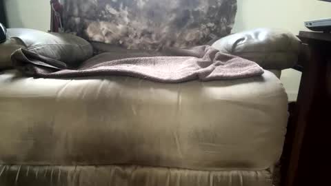 Snapshot of dotcom0063 chatting on November 2025 06:26:01 PM dotcom0062 online show from November 2025 06:26:01 PM