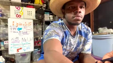 Snapshot of dpirated1 chatting on February 2025 04:43:02 PM MrPirated online show from February 2025 04:43:02 PM