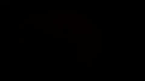 Snapshot of dpirated1 chatting on March 2025 06:47:02 PM MrPirated online show from March 2025 06:47:02 PM