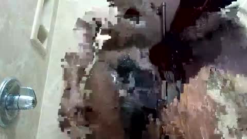 Snapshot of dpirated1 chatting on January 2026 01:59:02 PM MrPirated online show from January 2026 01:59:02 PM