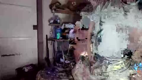 MrPirated online show from April 2026 11:32:01 AM