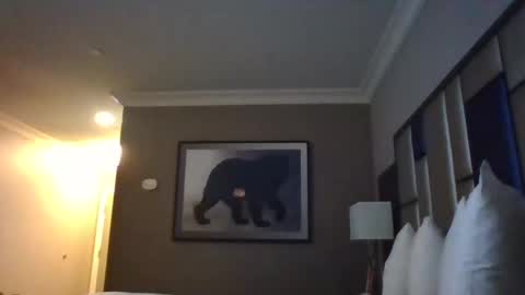 Snapshot of dreadedchefloxxx chatting on March 2025 06:59:01 AM DreadedChefLoXXX online show from March 2025 06:59:01 AM