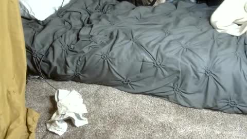 Snapshot of dreadedted chatting on February 2026 04:58:02 PM Dreadedted online show from February 2026 04:58:02 PM