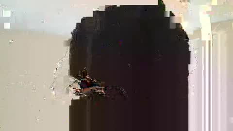 Dread online show from March 2025 11:10:02 AM