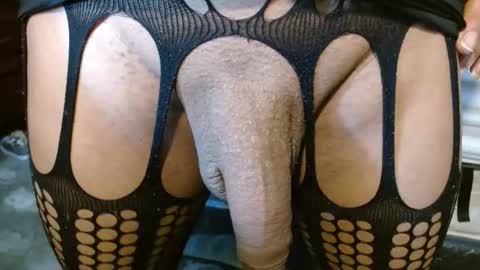 dreamreal online show from May 2026 10:33:01 AM