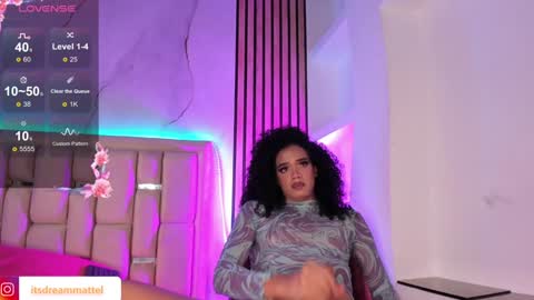 Snapshot of dreammatell_ chatting on December 2024 10:05:02 AM Dream Matell online show from December 2024 10:05:02 AM