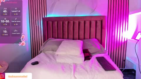 Snapshot of dreammatell_ chatting on January 2025 03:15:01 AM Dream Matell online show from January 2025 03:15:01 AM