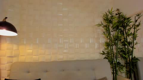 Snapshot of dreammr1 chatting on January 2025 01:45:01 AM cris online show from January 2025 01:45:01 AM