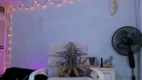 drippyorlove online show from April 2026 01:39:02 PM