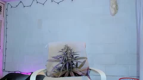 drippyorlove online show from May 2026 02:14:01 PM