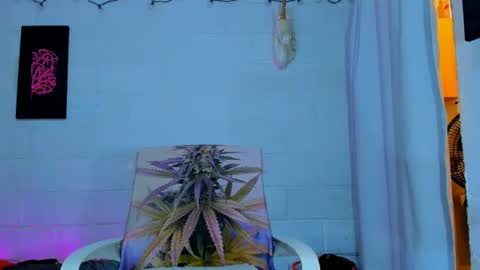 drippyorlove online show from July 2026 07:35:02 PM