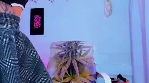drippyorlove online show from July 2026 06:47:01 PM