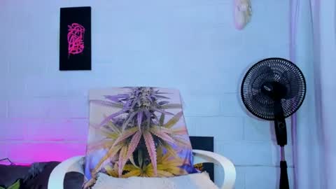 drippyorlove online show from July 2026 06:36:01 PM