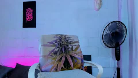 drippyorlove online show from July 2026 01:53:01 PM