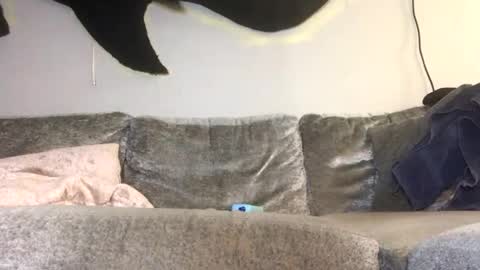 2xTheTrouble online show from February 2026 01:26:01 AM