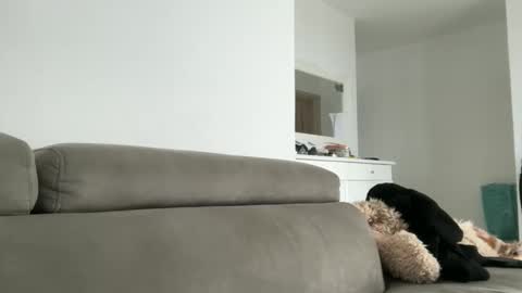 Dr. Resa online show from October 2025 09:54:01 AM