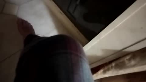 dthedog12 online show from November 2025 12:55:01 AM