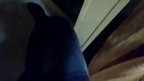 dthedog12 online show from January 2026 02:14:01 AM