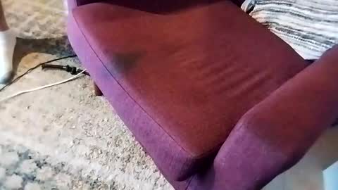 Snapshot of dtrain6969420 chatting on March 2025 02:46:02 AM dtrain6969420 online show from March 2025 02:46:02 AM