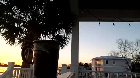 Snapshot of duke_lordly chatting on March 2025 11:26:01 PM duke_lordly online show from March 2025 11:26:01 PM