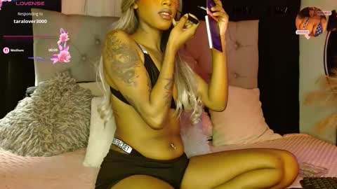   online show from September 2025 01:33:01 AM