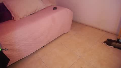 Snapshot of dulcerose01 chatting on February 2025 04:20:01 AM Dulce Rose online show from February 2025 04:20:01 AM