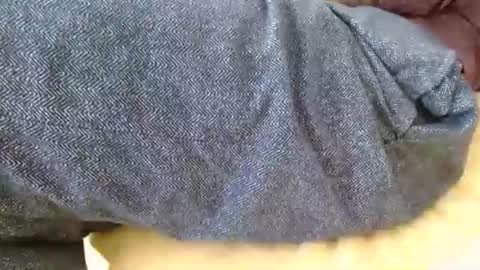 dunany101 online show from March 2026 06:25:01 PM