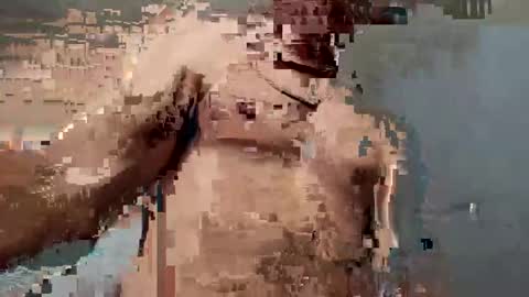 Snapshot of dvsshoes12 chatting on October 2025 11:26:02 PM dvsshoes12 online show from October 2025 11:26:02 PM