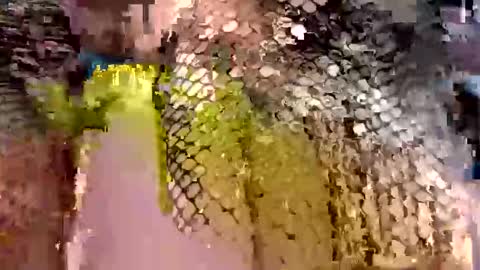 Snapshot of dwadek081704 chatting on September 2025 11:33:01 AM dwadek081704 online show from September 2025 11:33:01 AM