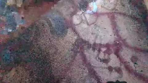 Snapshot of dwadek081704 chatting on November 2025 02:52:02 PM dwadek081704 online show from November 2025 02:52:02 PM