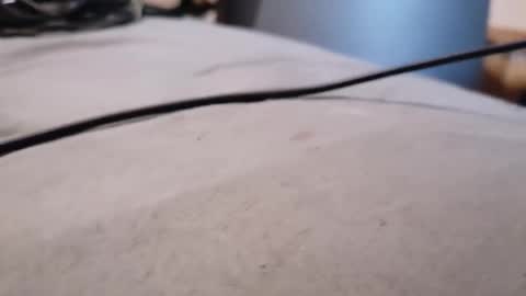 Snapshot of dwercybo chatting on January 2026 09:46:02 AM ted online show from January 2026 09:46:02 AM