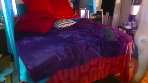 Snapshot of eastbayboy57 chatting on February 2026 12:53:02 PM eastbayboy57 online show from February 2026 12:53:02 PM