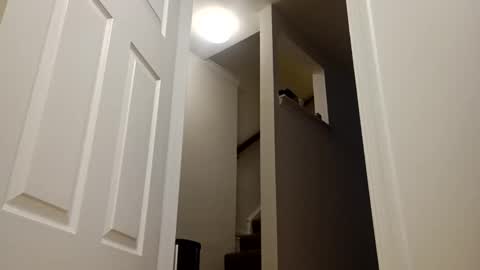 Snapshot of easternjerk chatting on December 2025 11:04:02 AM easternjerk online show from December 2025 11:04:02 AM