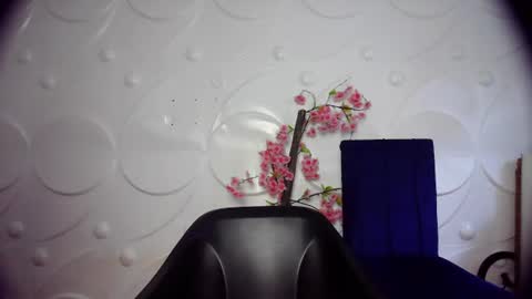 ebonykissxx online show from June 2026 11:36:01 AM