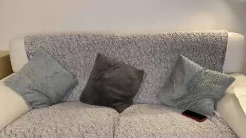SweetyEbony online show from June 2026 08:36:01 PM