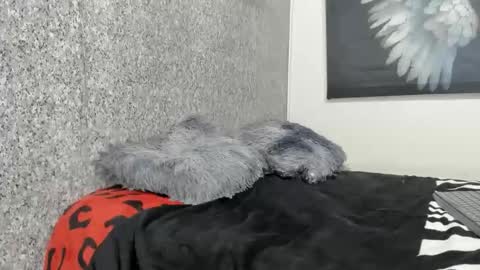 edi_stwix18 online show from January 2026 03:39:02 PM